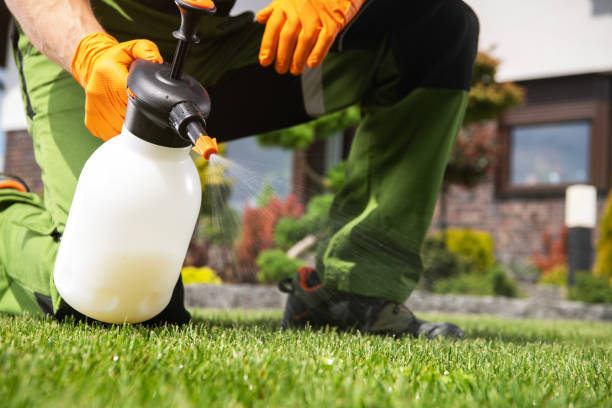 Best Wasp Removal Services  in Patterson Tract, CA