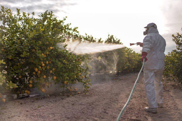 Best Exterminator Services  in Patterson Tract, CA