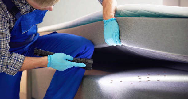 Best Emergency Pest Control  in Patterson Tract, CA