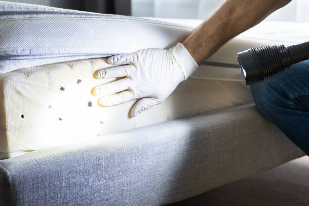 Best Pest Control Near Me  in Patterson Tract, CA