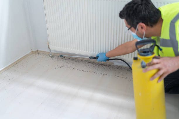 Best Pest Inspection Near Me  in Patterson Tract, CA